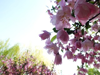 DSCF3564_