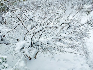 DSCF5981_