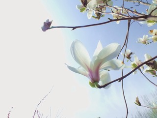 DSCF3177_