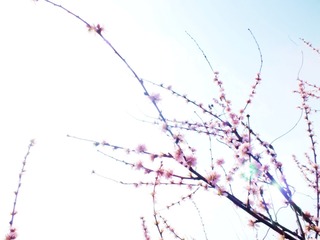 DSCF3150_