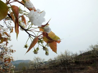 DSCF3710_