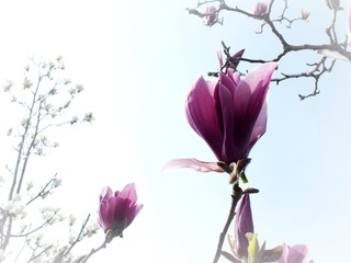 DSCF3168_