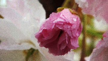 DSCF4002_