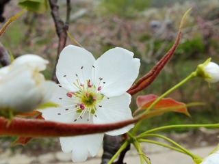 DSCF3702_