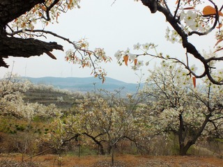 DSCF3810_