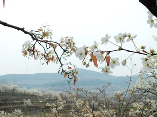 DSCF3822_