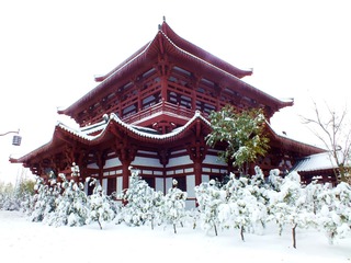 DSCF5992_