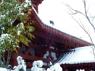 DSCF5991_