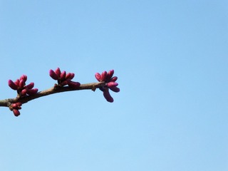 DSCF3021_
