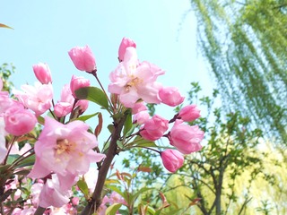 DSCF3607_