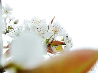 DSCF3790_