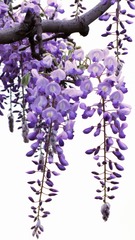 DSCF4048_