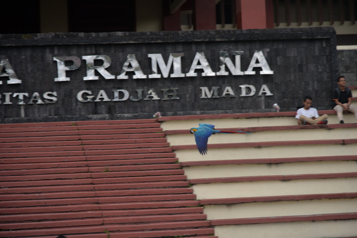 水宫 日惹大学 与 银器街 青旅