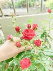 C93AC59F-28CD-4DFF-988B-5C7B02FFBF51/L0/001