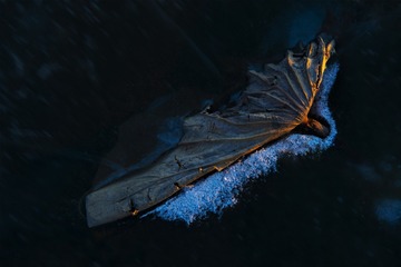 2165462