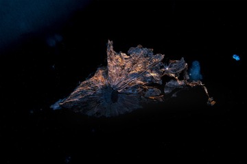 2165466