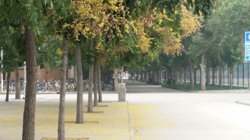 20160917_105035