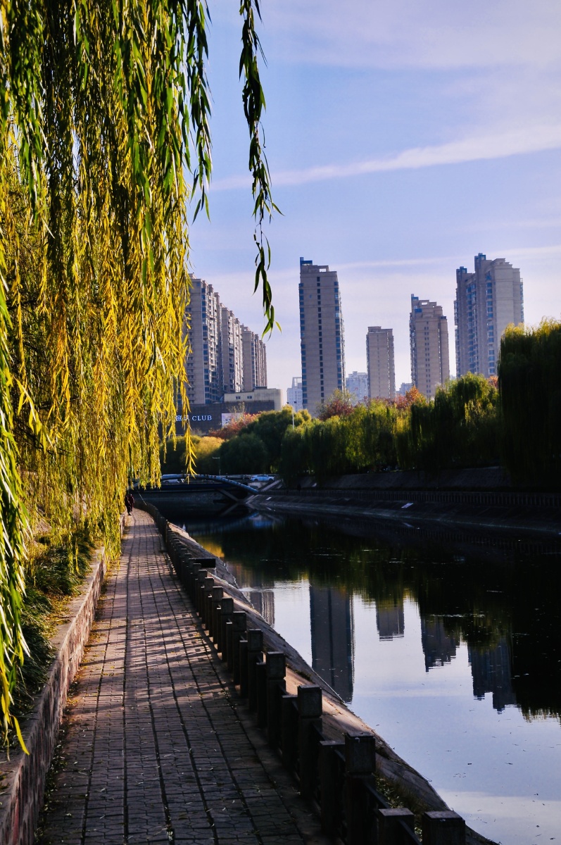 金水河畔的秋韵经过多年的改造和提升郑州金水河沿河