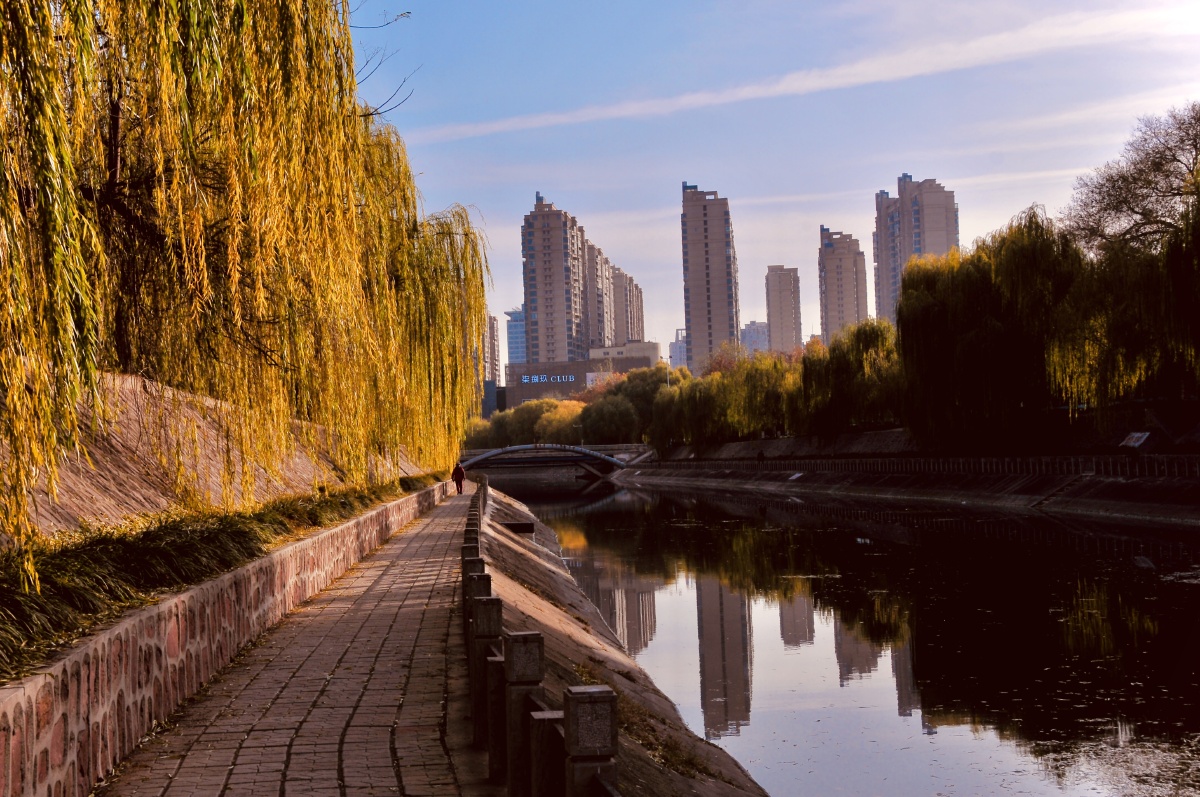 金水河畔的秋韵经过多年的改造和提升郑州金水河沿河路段发生翻天覆地