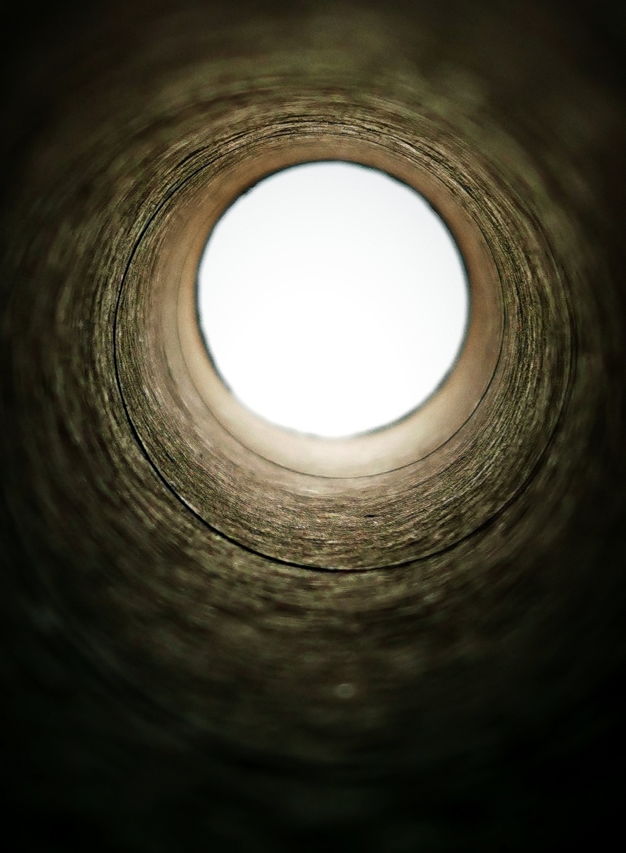 在这个繁华的世界里也曾有快乐的井底之蛙