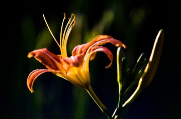 _DSC7753