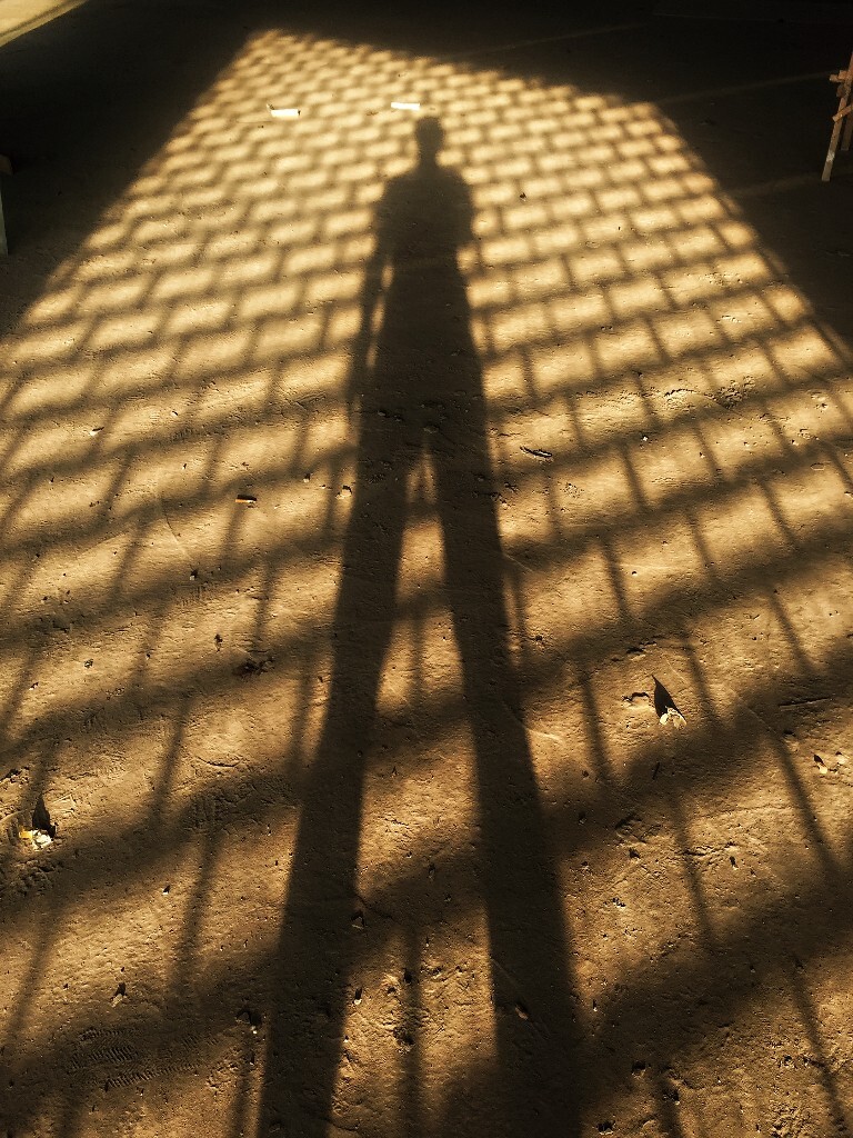 孤独患者