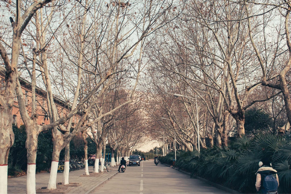 河南大学老校区 - 河南大学, 开封, 尼康, 城市 - 