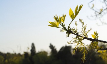 20100428_005