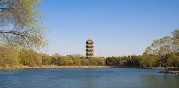 20100428_006