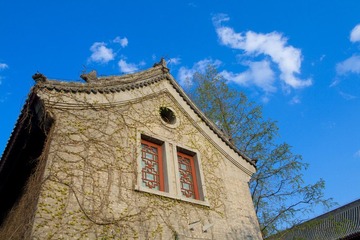 20100428_009