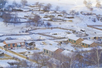 冬季乌兰布统007