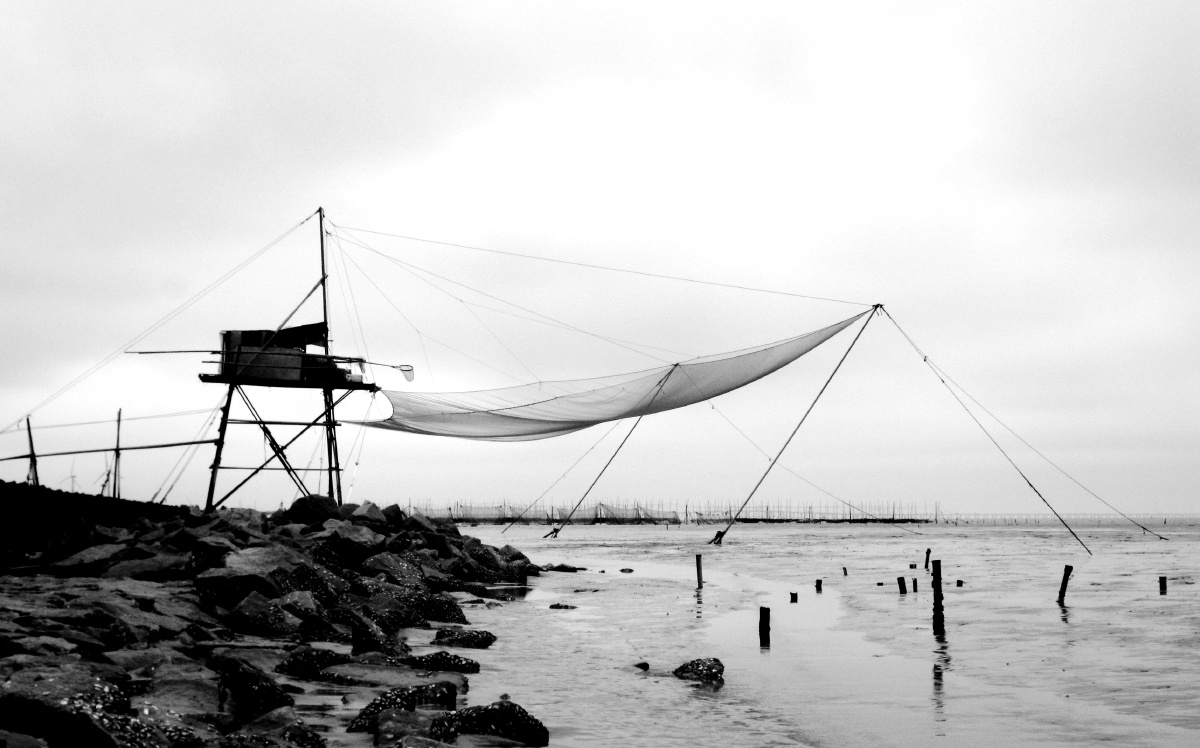 在上海的海边第一次偶遇这样的渔网,仿佛一只巨型蜘蛛在等待猎物