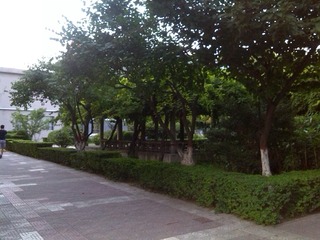 IMG_20160704_193351