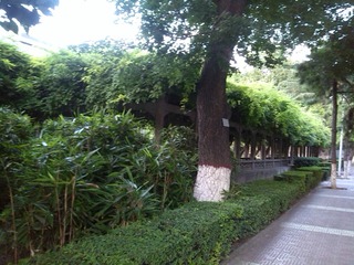 IMG_20160704_193358