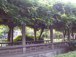 IMG_20160704_193422