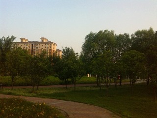 IMG_20160724_184411