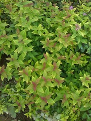 IMG_20160716_190026