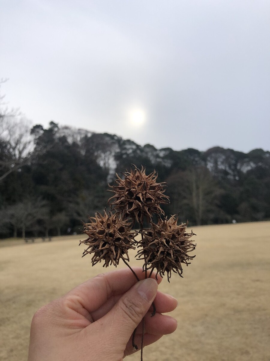 小叶降真香点燃什么味