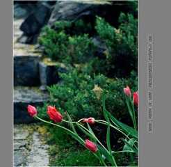 Untitled-9_nEO_IMG