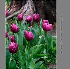 Untitled-8_nEO_IMG