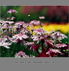 Untitled-5_nEO_IMG