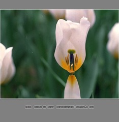 Untitled-4_nEO_IMG