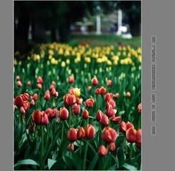 Untitled-2_nEO_IMG
