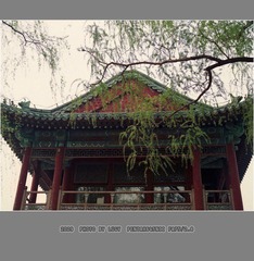 Untitled-26_nEO_IMG