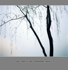 Untitled-7_nEO_IMG