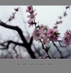 Untitled-17_nEO_IMG