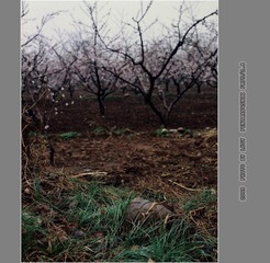 Untitled-16_nEO_IMG