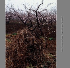 Untitled-15_nEO_IMG