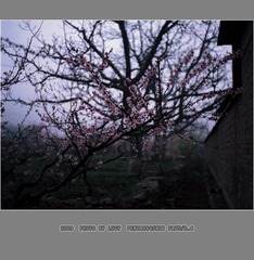 Untitled-14_nEO_IMG