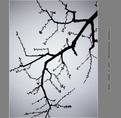 Untitled-20_nEO_IMG
